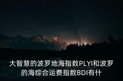 什么是波羅的海指數，什么叫波羅地海指數