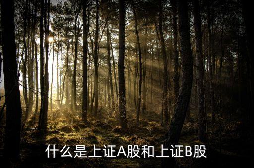 什么股票屬于上證，什么股票代碼屬于上證指數(shù)1A0001