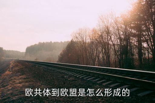 德國(guó)為什么加入歐盟，為什么有些國(guó)家像法國(guó)德國(guó)不愿意加入歐盟明明是對(duì)他們有利的  搜