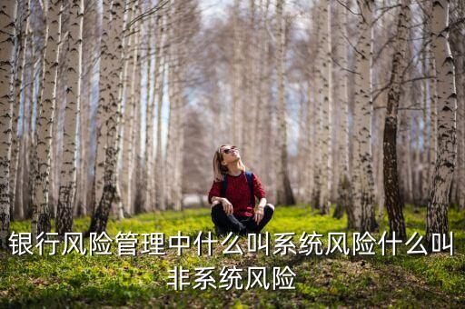 不發(fā)生系統(tǒng)性什么意思，銀行風(fēng)險(xiǎn)管理中什么叫系統(tǒng)風(fēng)險(xiǎn)什么叫非系統(tǒng)風(fēng)險(xiǎn)