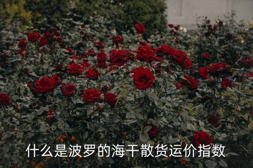 什么是波羅的海干散貨運(yùn)價(jià)指數(shù)