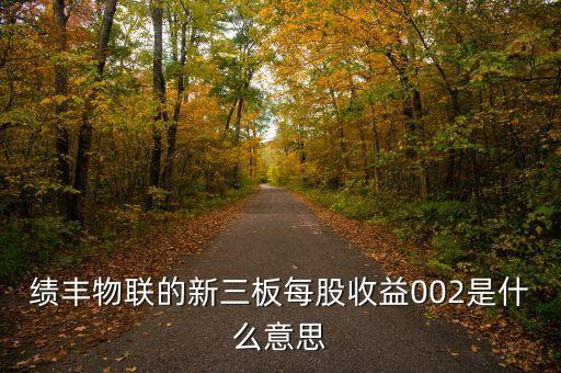 績豐物聯(lián)的新三板每股收益002是什么意思
