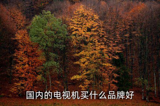 國內的電視機買什么品牌好