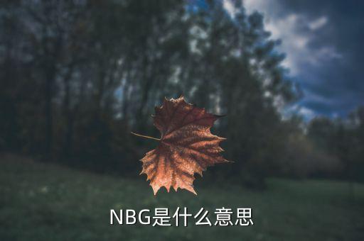 fmg是什么意思，NBG是什么意思