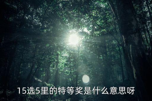 15選5 什么是特等獎(jiǎng)，15選5 怎么算中特等獎(jiǎng)