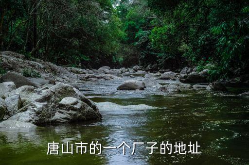 同方國(guó)芯的總部為什么在玉田縣，唐山市的一個(gè)廠子的地址