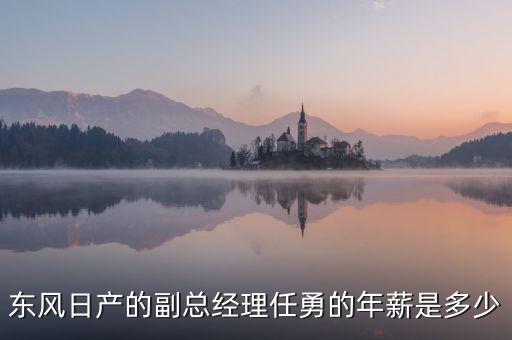 任勇為什么不是東風(fēng)公司副總，東風(fēng)日產(chǎn)任勇總經(jīng)理