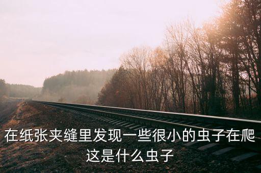 為什么書里面有書蠹，為什么書里會生小蟲
