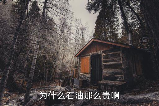 石油為什么這貴，石油為何那么貴