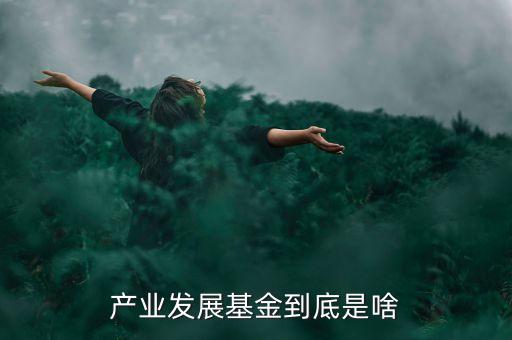 什么是產(chǎn)業(yè)基金，產(chǎn)業(yè)發(fā)展基金到底是啥