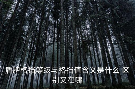 盾牌格擋等級與格擋值含義是什么 區(qū)別又在哪