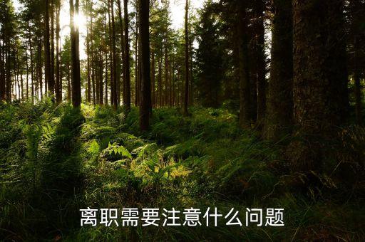 華北制藥辭職需要注意什么，辭職應(yīng)該注意些什么呢
