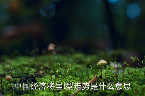 中國經(jīng)濟(jì)將呈l型走勢是什么意思