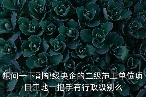 央企二級公司經(jīng)理是什么級別，央企比如移動 電信 聯(lián)通 中石油石化 這些企業(yè)縣的老總是什么級別