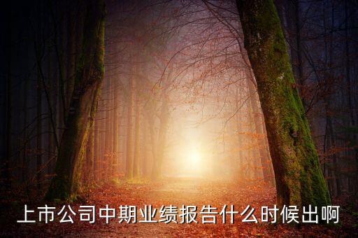中報(bào)業(yè)績最晚什么時(shí)間公布，規(guī)定股票中報(bào)什么時(shí)候出