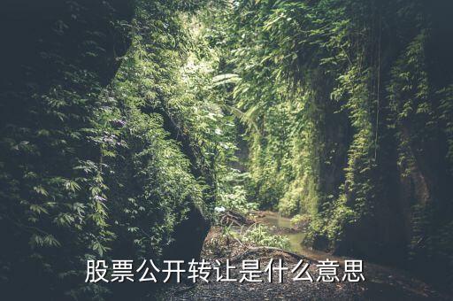 股票公開轉讓是什么意思