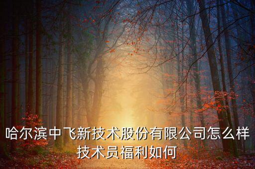 中飛股份公司做什么的，哈爾濱中飛新技術(shù)股份有限公司怎么樣技術(shù)員福利如何