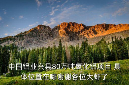中鋁蔡安輝什么級(jí)別，中國(guó)鋁業(yè)興縣80萬噸氧化鋁項(xiàng)目 具體位置在哪謝謝各位大蝦了