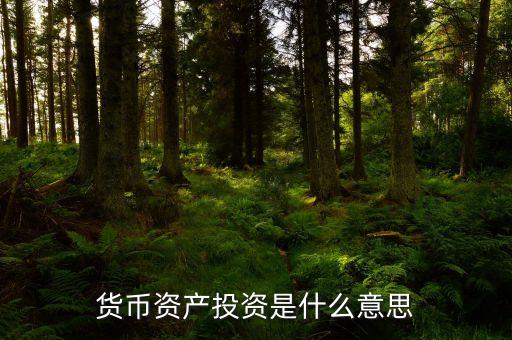 貨幣投資是什么，貨幣投資的概念和管理