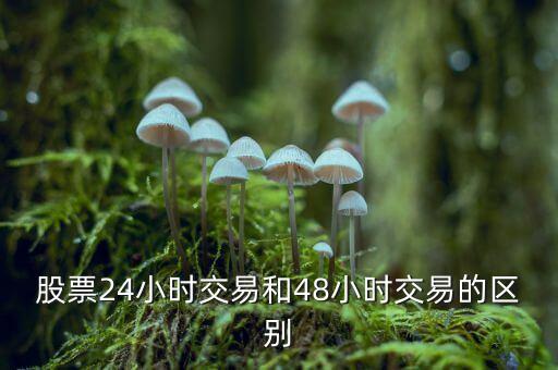 24小時(shí)交易是什么意思，股票24小時(shí)交易和48小時(shí)交易的區(qū)別