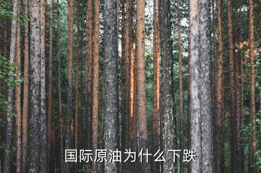 國(guó)際原油為什么暴跌，造成國(guó)際油價(jià)下跌的因素有哪些