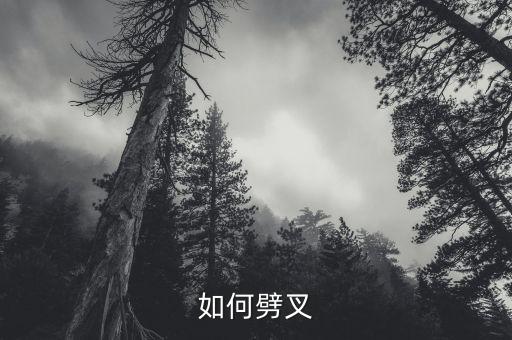 習(xí)為什么動(dòng)周，如何劈叉
