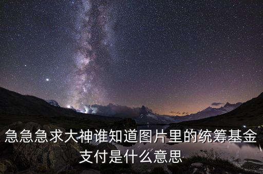 基金支付什么意思，工傷里面的基金支付是什么意思