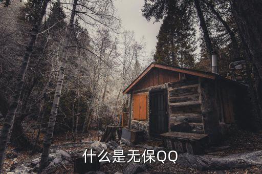 什么是無(wú)保QQ