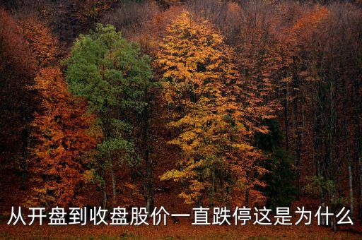 為什么開盤就跌停，從開盤到收盤股價一直跌停這是為什么