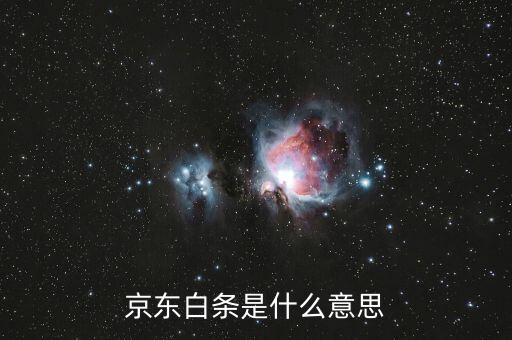 京東支持打白條什么意思，京東白條支付是什么意思