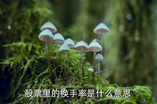 股票中換手率什么意思，股票里面的換手率是什么意思