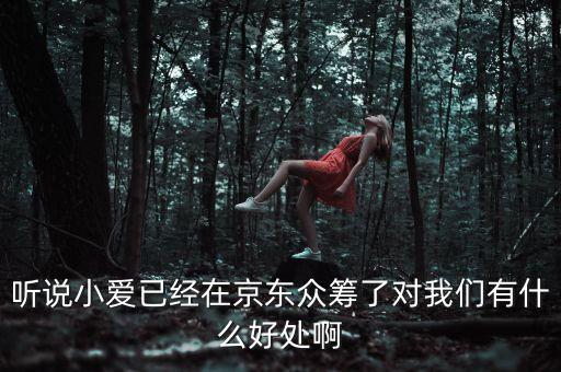 京東jimi機(jī)器人有什么作用，jimi 是什么意思
