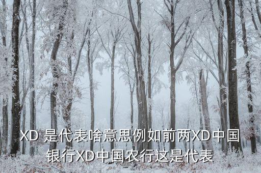 農(nóng)行中證代表什么，XD 是代表啥意思例如前兩XD中國(guó)銀行XD中國(guó)農(nóng)行這是代表