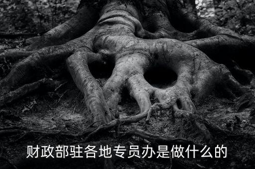財專辦是什么，財政部駐各地專員辦是做什么的