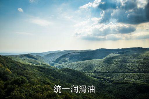 霍氏為什么賣統(tǒng)一潤滑油，統(tǒng)一潤滑油