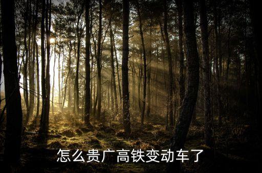 高鐵什么時候變動車，怎么貴廣高鐵變動車了