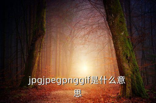 什么是代價比率，JPG文件會有病毒嗎