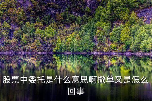 股票中委托是什么意思，股票的委托是什么意思