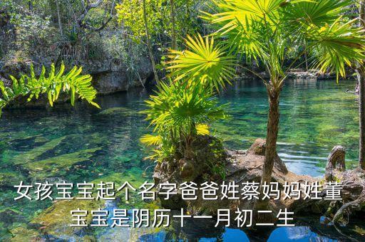 女孩寶寶起個(gè)名字爸爸姓蔡媽媽姓董 寶寶是陰歷十一月初二生