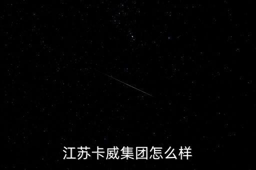江蘇卡威集團(tuán)是什么性質(zhì)的企業(yè)，我剛大學(xué)畢業(yè)學(xué)的是汽車制造與裝配請問一下江蘇卡威公司怎么