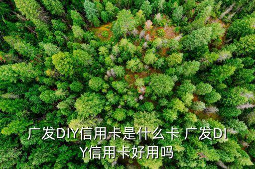 什么是diy信用卡，廣發(fā)DIY信用卡是什么卡 廣發(fā)DIY信用卡好用嗎