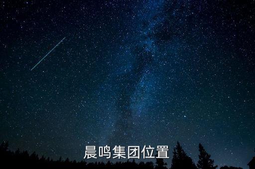 壽光造紙廢固是什么，晨鳴集團位置