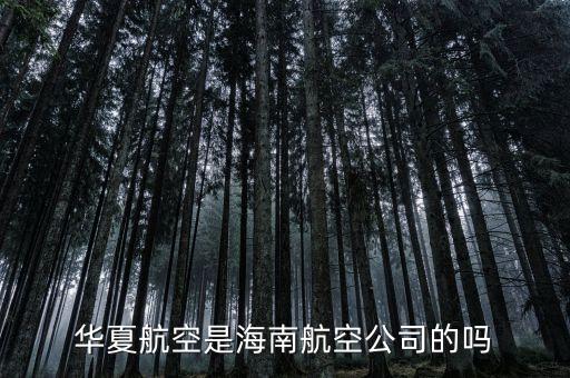 首航什么時(shí)候配787，首都航空華夏航空長安航空哪個(gè)最好