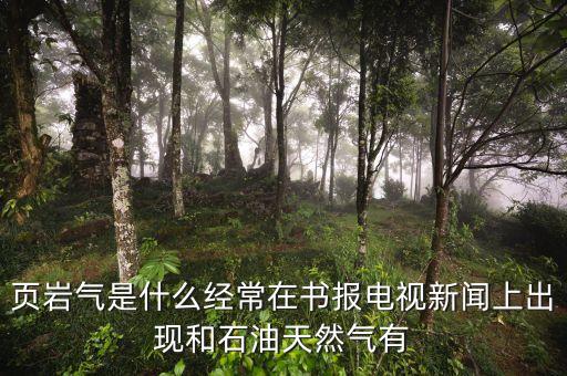 頁(yè)巖氣和天然氣有什么不同，頁(yè)巖氣與煤層氣的區(qū)別