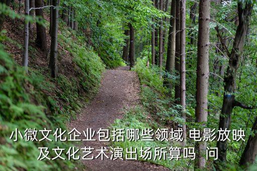 小微文化企業(yè)具體指什么，小微文化企業(yè)包括哪些領(lǐng)域 電影放映及文化藝術(shù)演出場所算嗎  問