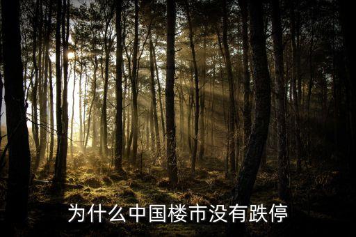 為什么中國房地產(chǎn)不崩盤，為什么中國樓市沒有跌停
