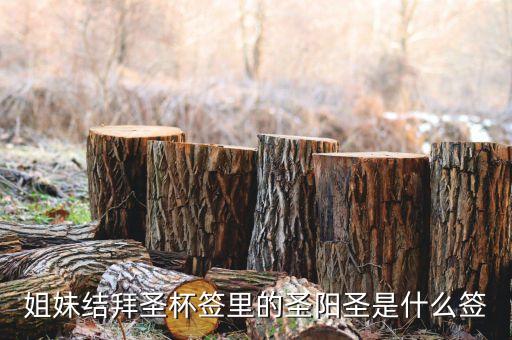 圣陽圣屬什么簽，天災(zāi)禍不除我去拜佛了請問下這只簽是什么意思啊好