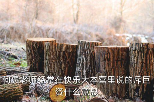 赤巨資是什么意思，赤巨資是什么意思能解釋一下嗎