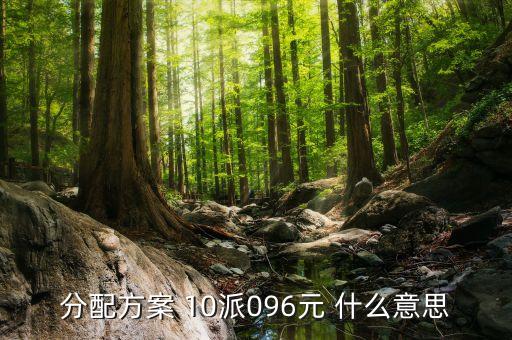 南方軸承分配方案是什么，分配方案 10派096元 什么意思