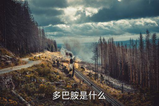 云藥是什么，rarely是什么意思